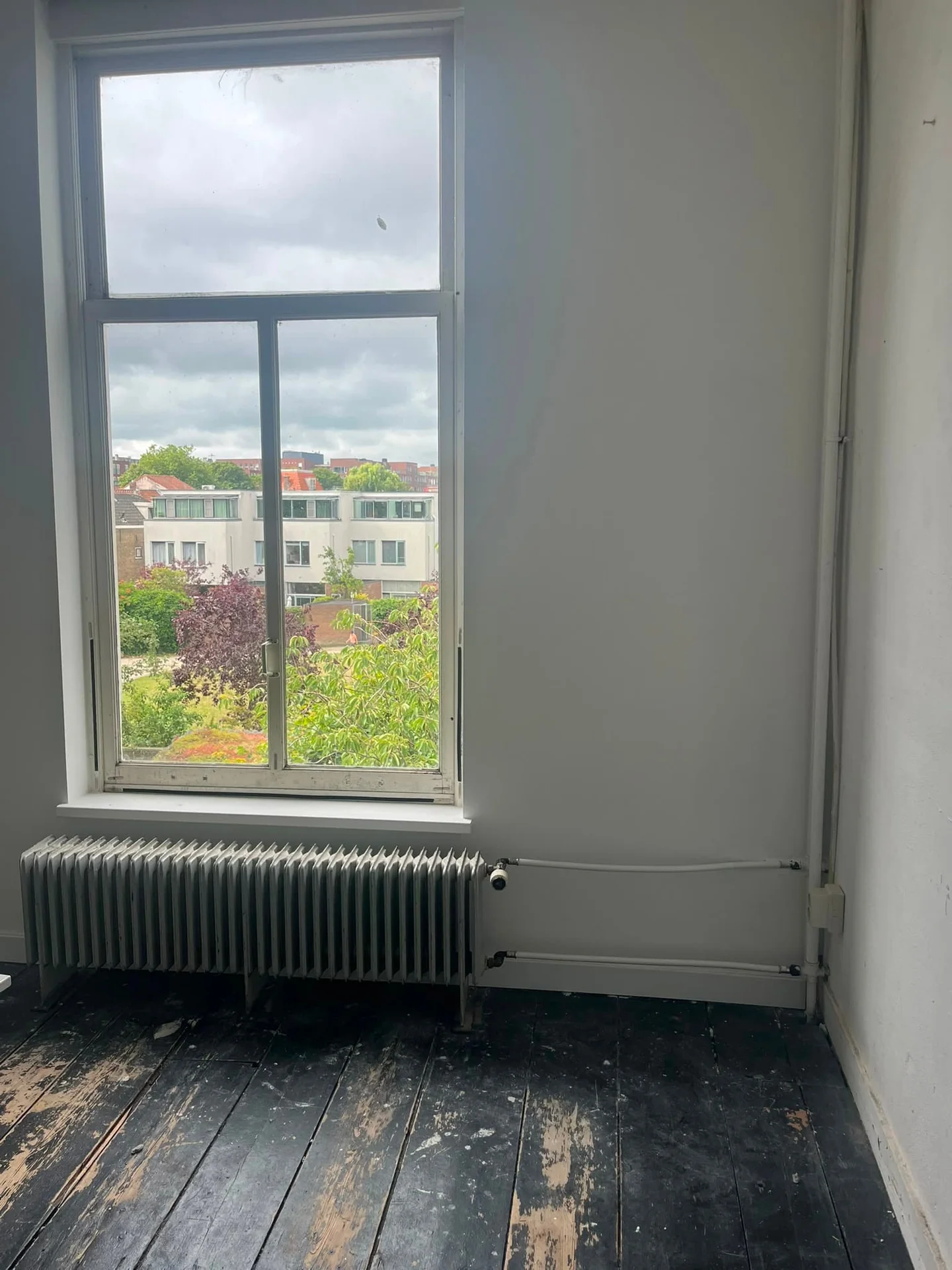 Foto van de Kamer gelegen aan de Oranje Plantage in Delft