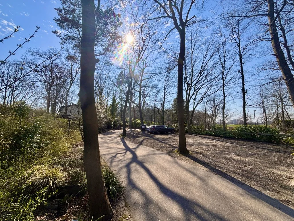 geblurde versie van de foto als achtergrond