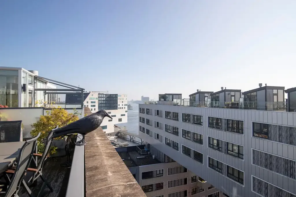 Foto van de Appartement gelegen aan de Westerdoksdijk in Amsterdam