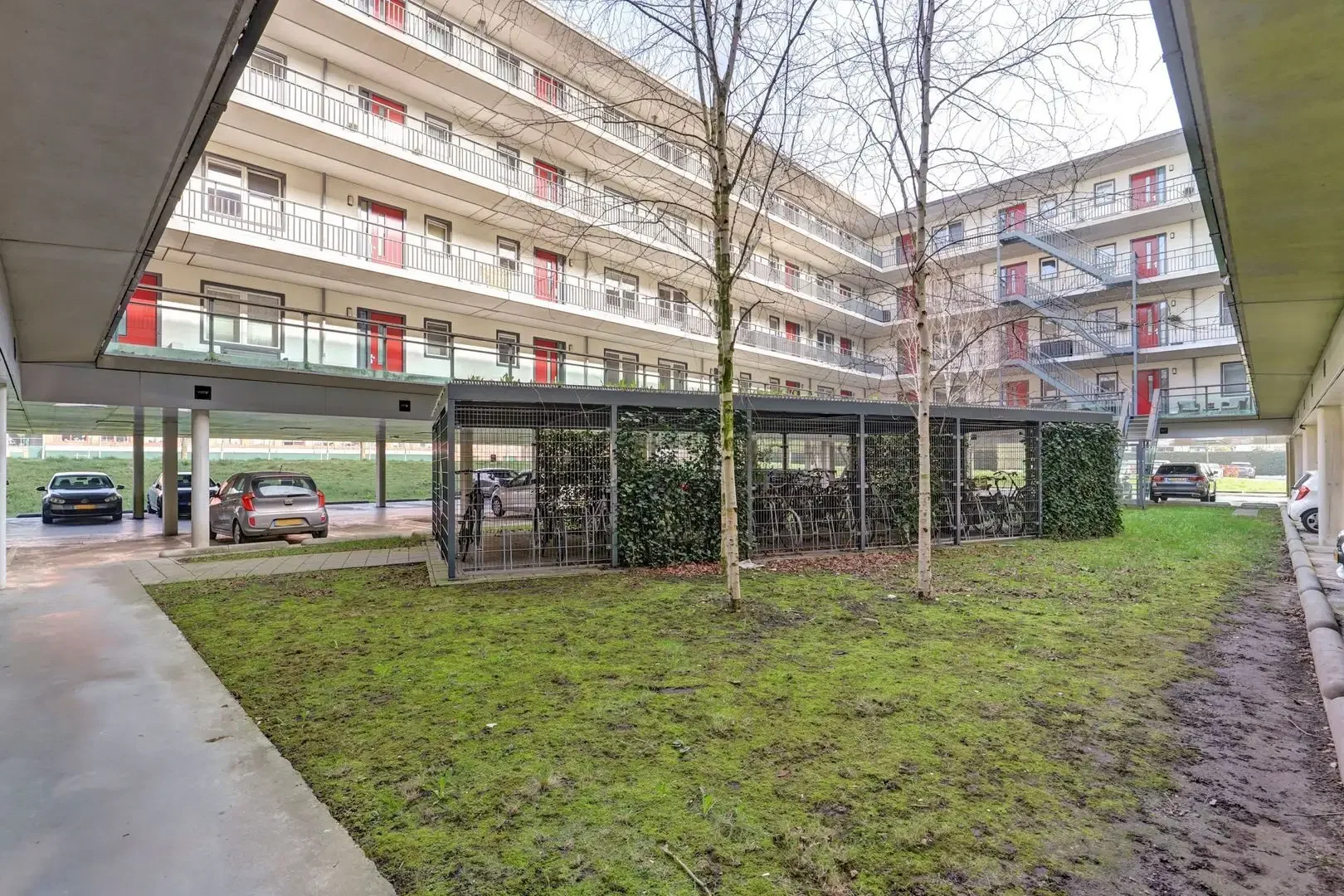 geblurde versie van de foto als achtergrond