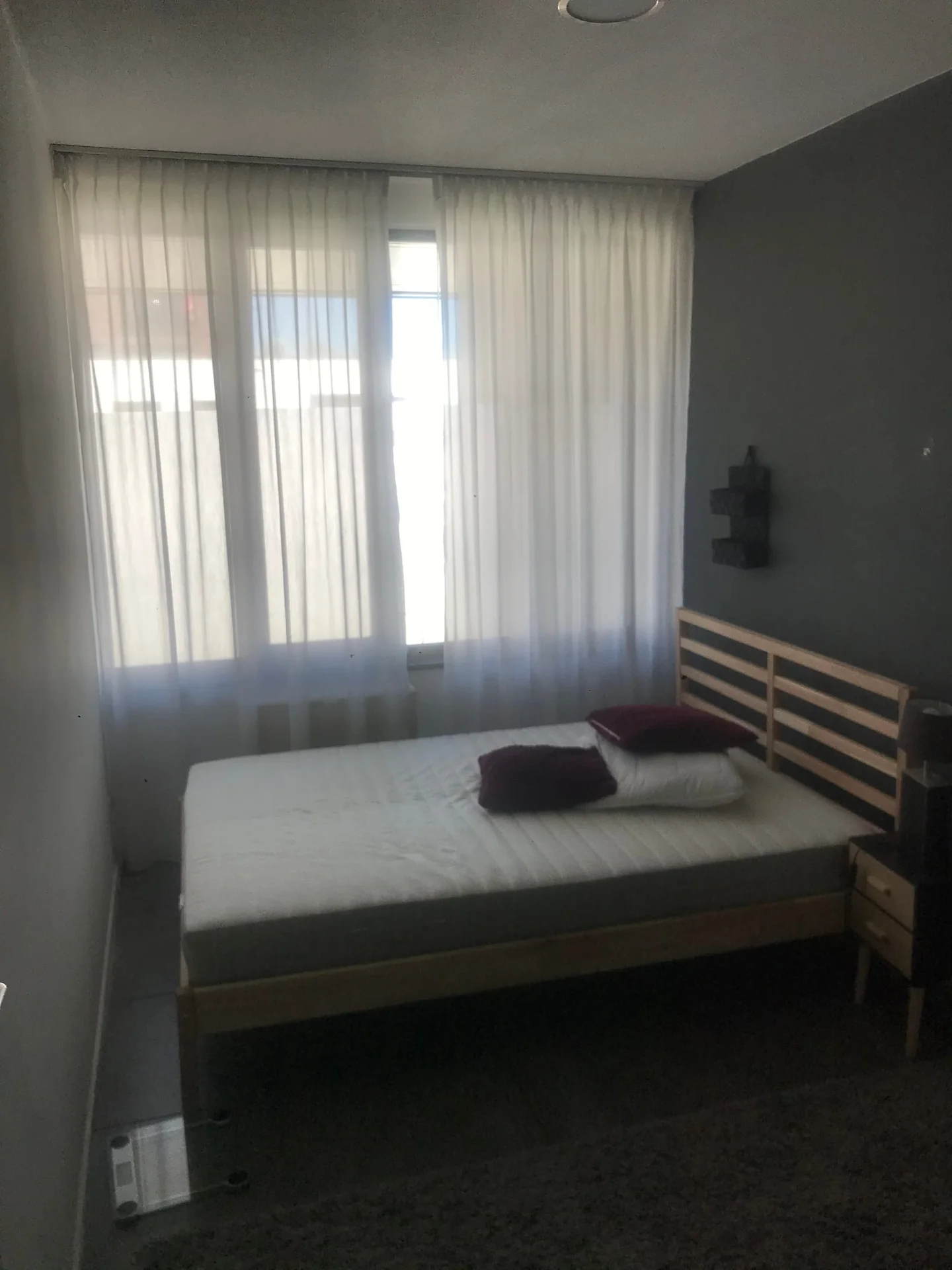 Foto van de Kamer gelegen aan de Hoogaarslaan in Zaandam