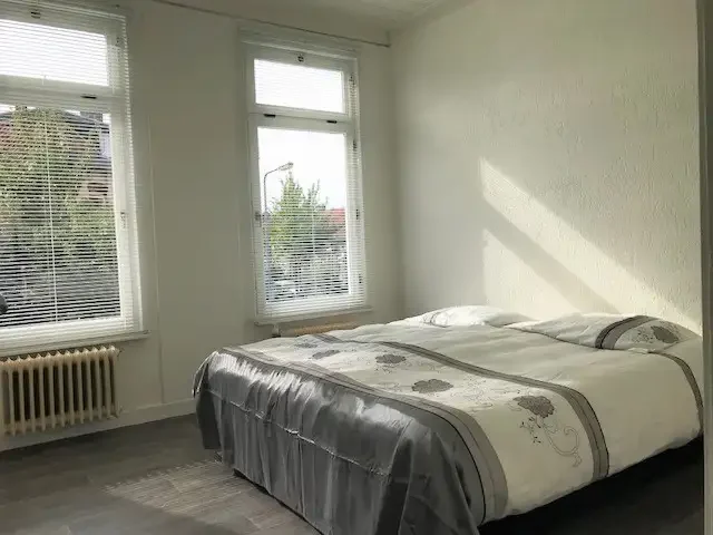 geblurde versie van de foto als achtergrond