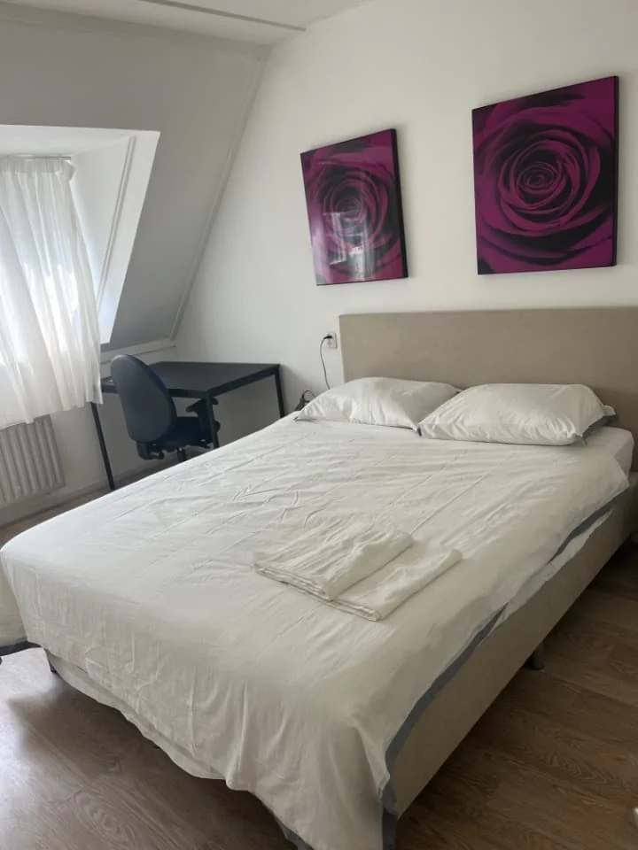 Foto van de Kamer gelegen aan de Hendrik Hosstraat in Amsterdam