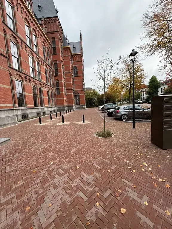 geblurde versie van de foto als achtergrond