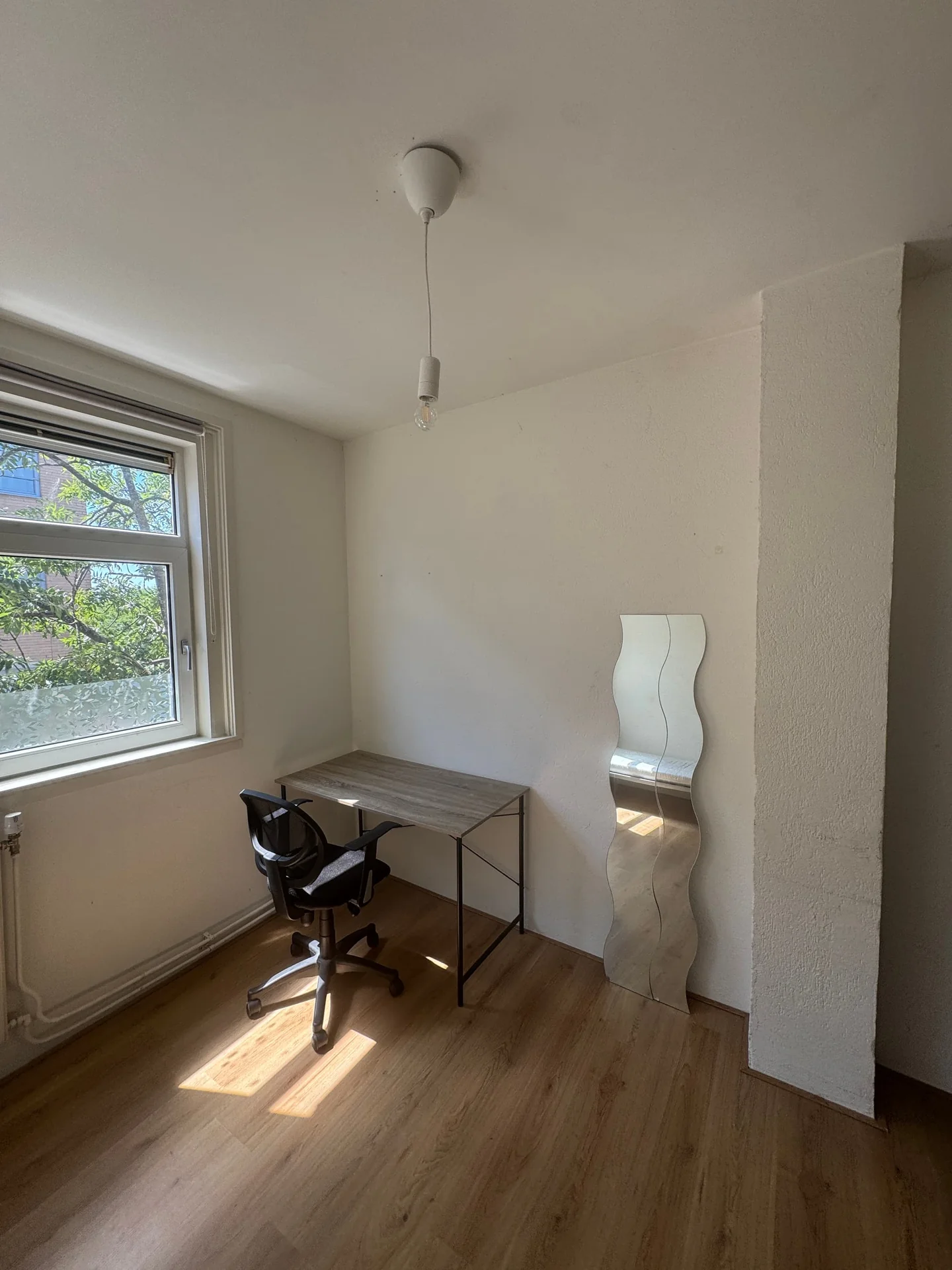 Foto van de Kamer gelegen aan de Dahliastraat in Rotterdam