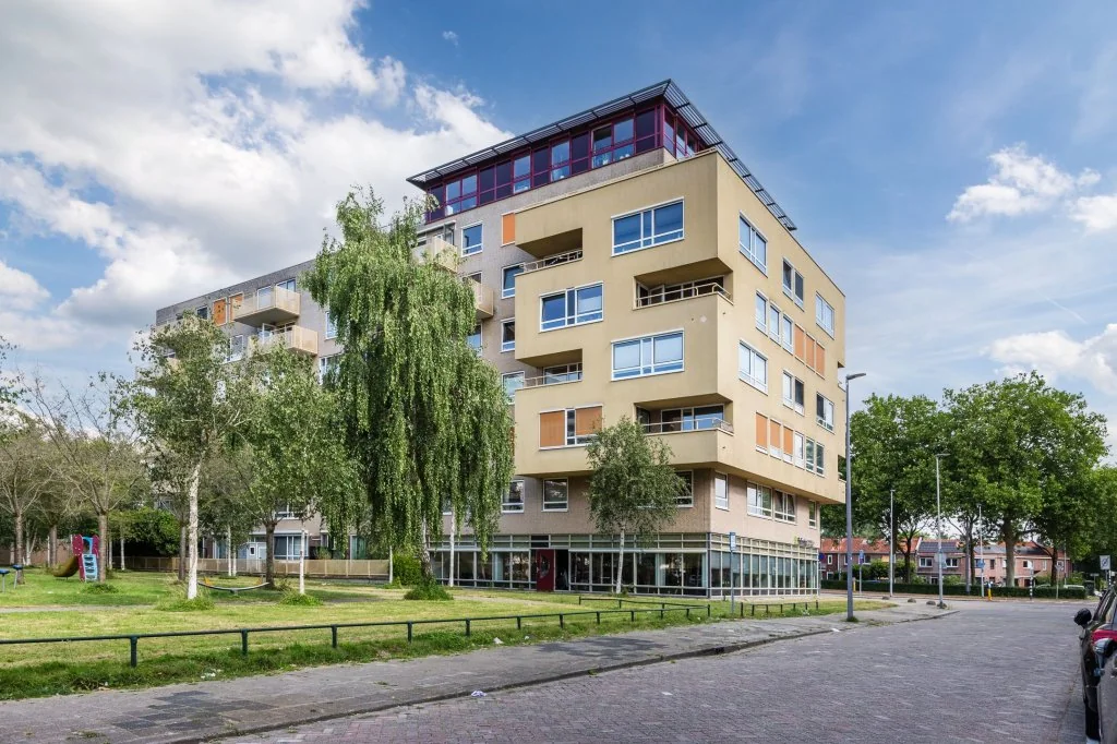 geblurde versie van de foto als achtergrond