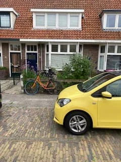 geblurde versie van de foto als achtergrond