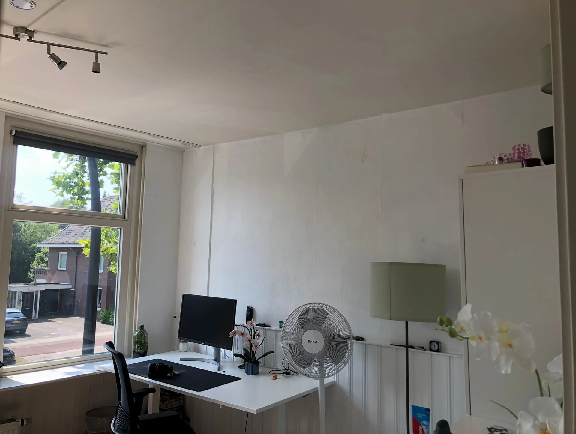 geblurde versie van de foto als achtergrond