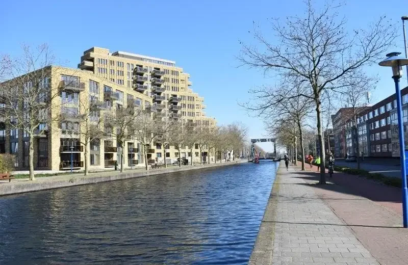 geblurde versie van de foto als achtergrond