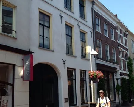 geblurde versie van de foto als achtergrond