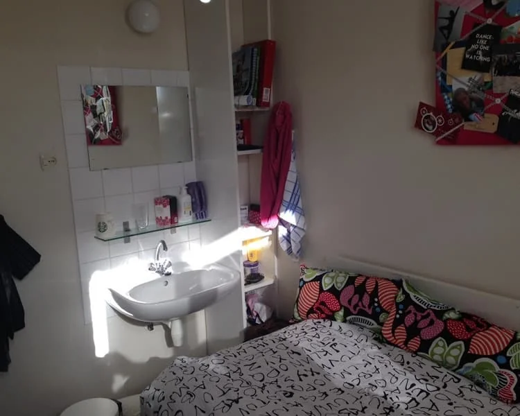 geblurde versie van de foto als achtergrond