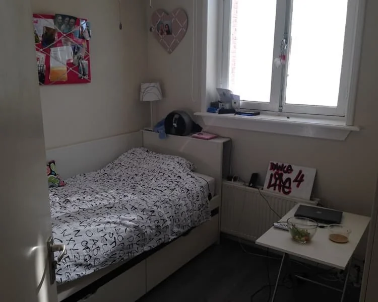 geblurde versie van de foto als achtergrond
