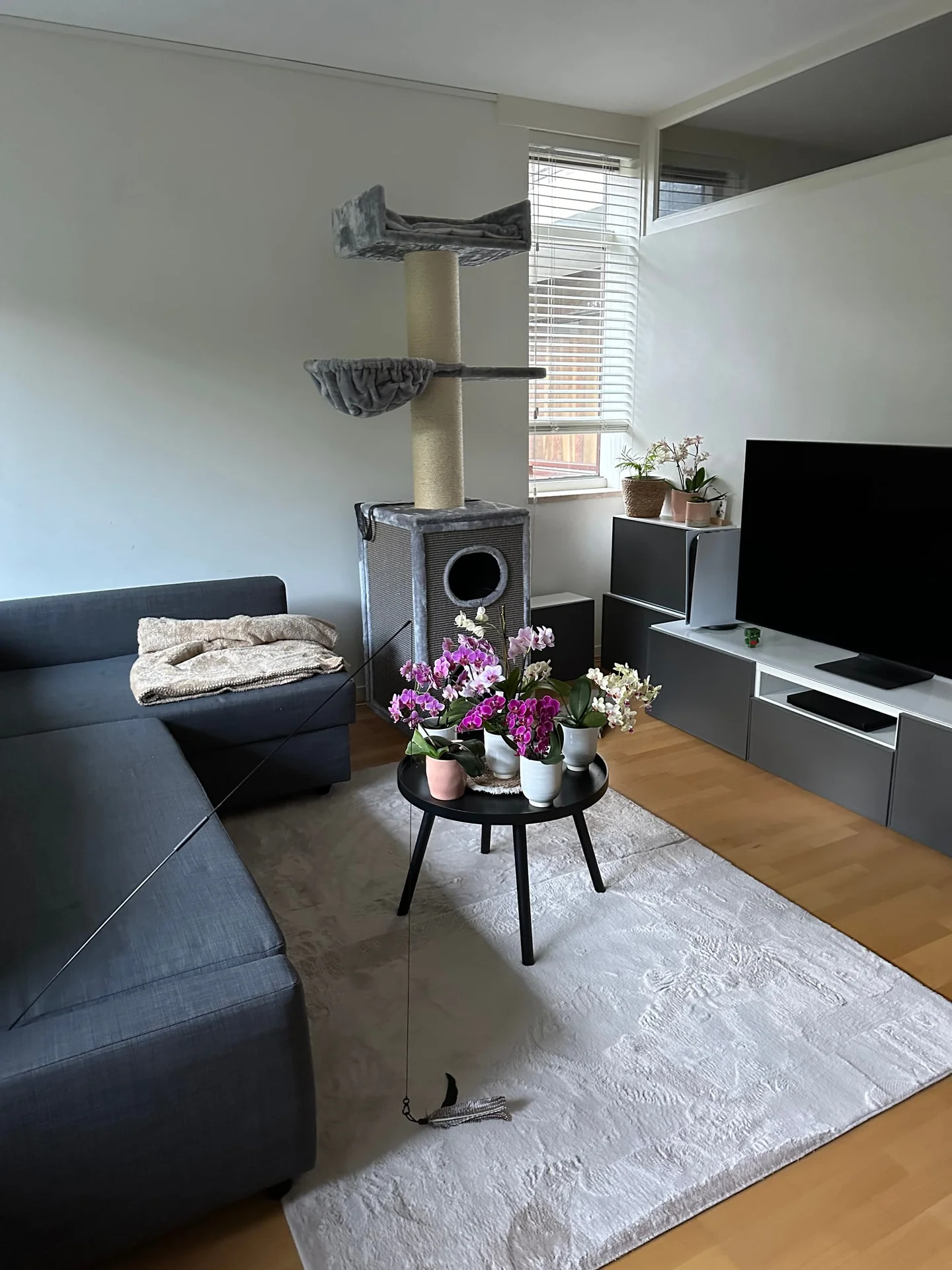 Foto van de Appartement gelegen aan de Eindhovenseweg in Waalre