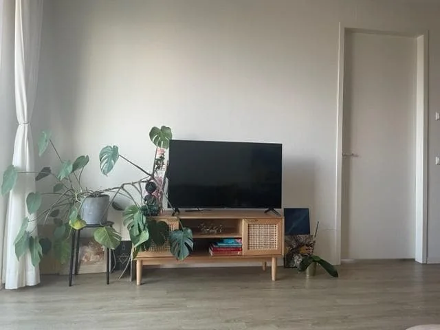 geblurde versie van de foto als achtergrond