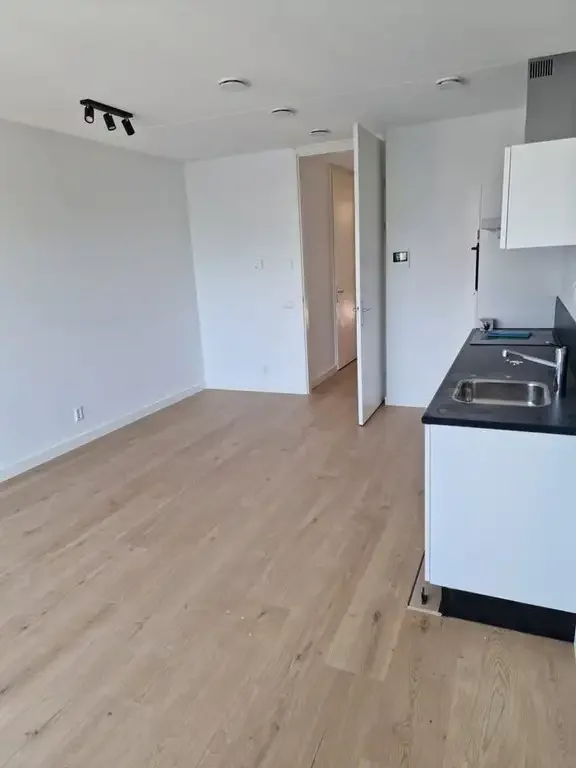 Foto van de Appartement gelegen aan de Burnhamstraat in Hoofddorp