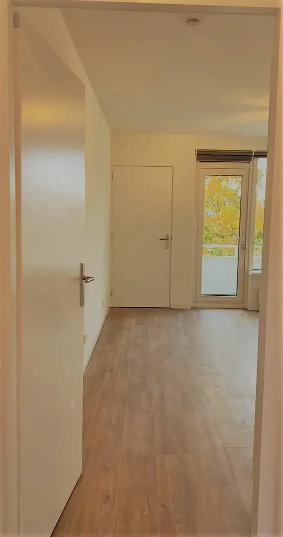 geblurde versie van de foto als achtergrond