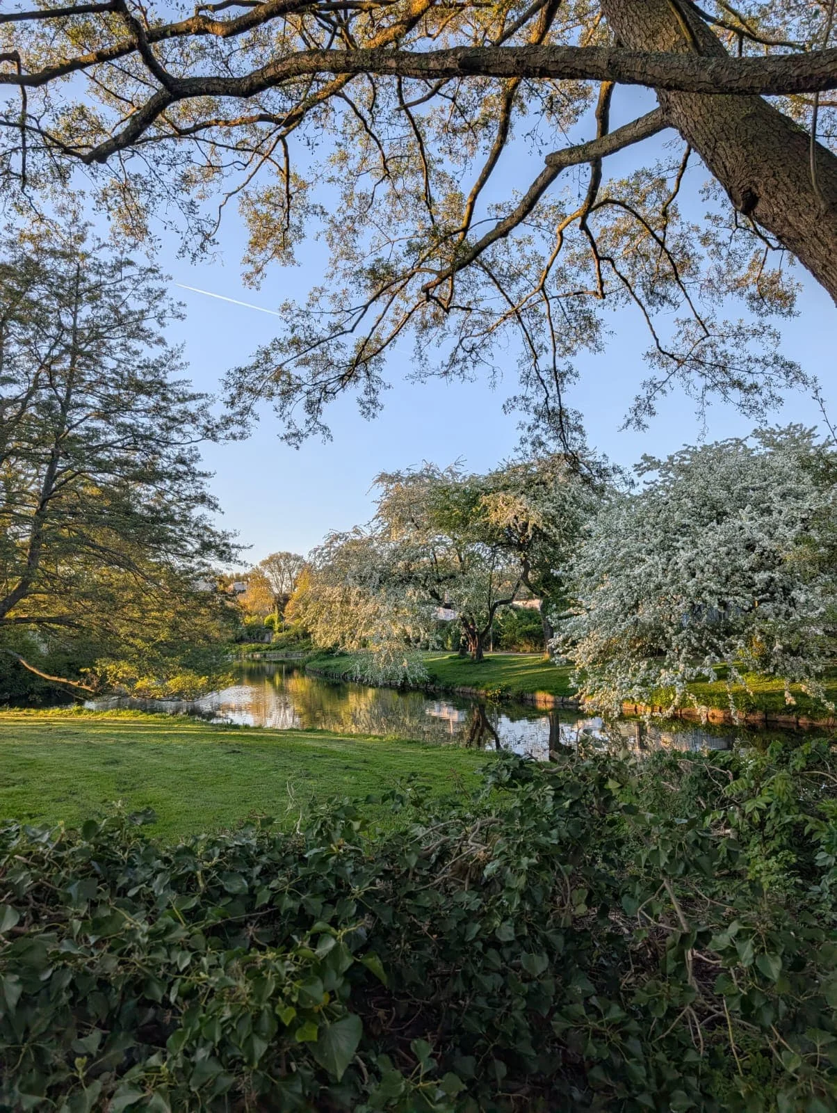 Foto van de Kamer gelegen aan de Else Mauhsstraat in Amstelveen