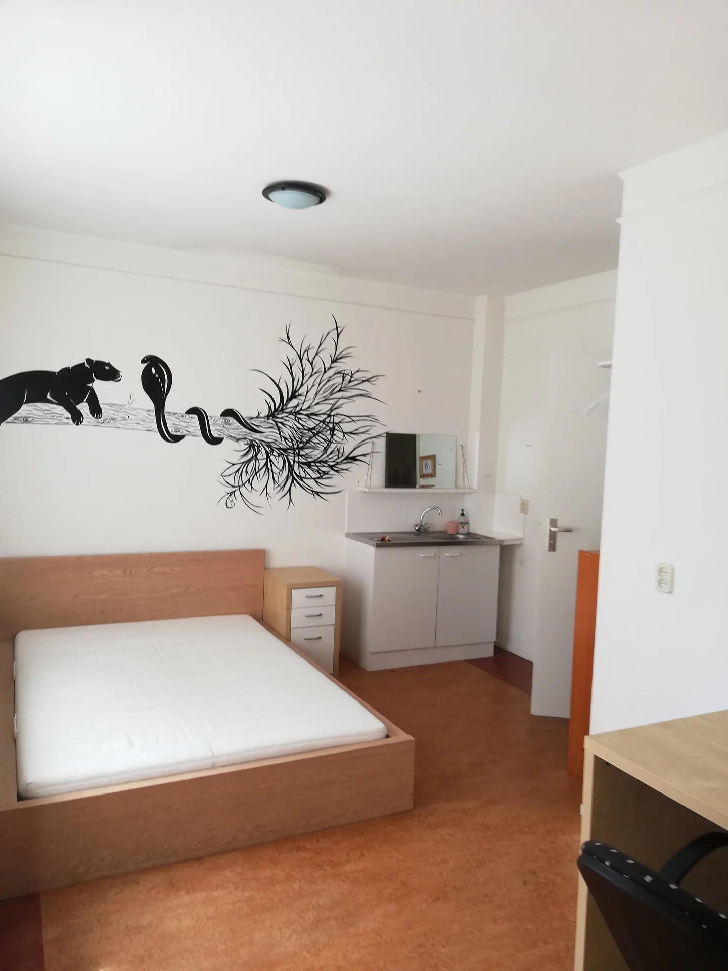 Foto van de Kamer gelegen aan de Fogelsanghstate in Leeuwarden