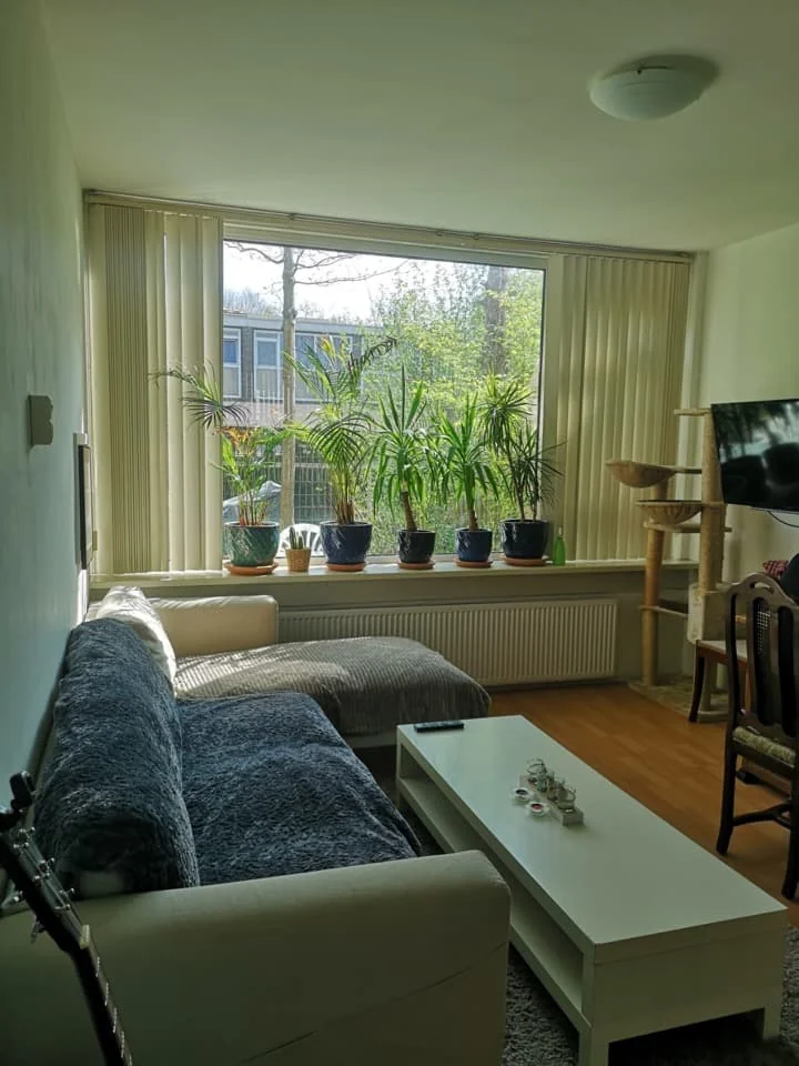geblurde versie van de foto als achtergrond