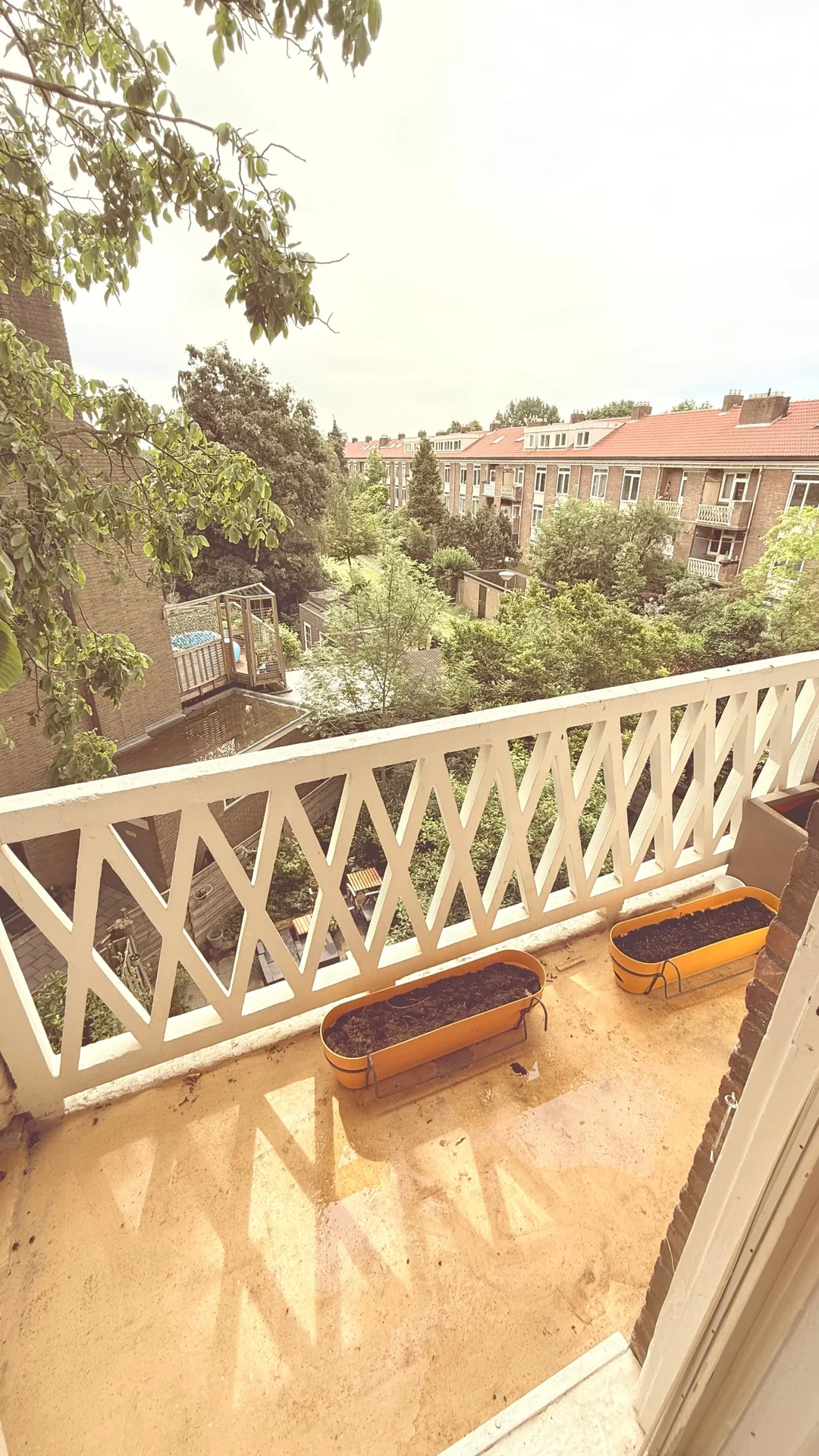 geblurde versie van de foto als achtergrond
