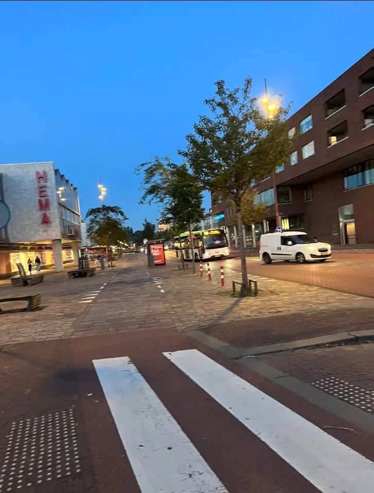 geblurde versie van de foto als achtergrond