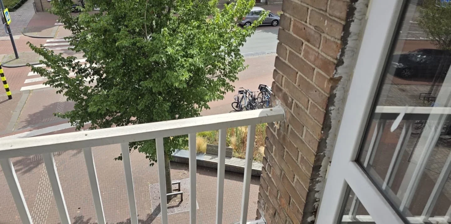 geblurde versie van de foto als achtergrond