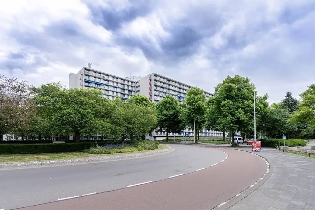 geblurde versie van de foto als achtergrond