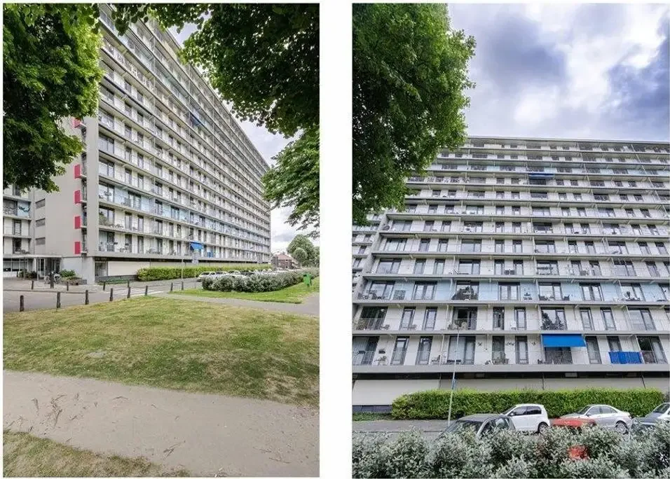 geblurde versie van de foto als achtergrond
