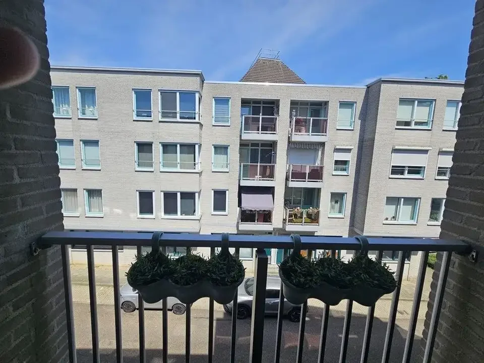 geblurde versie van de foto als achtergrond