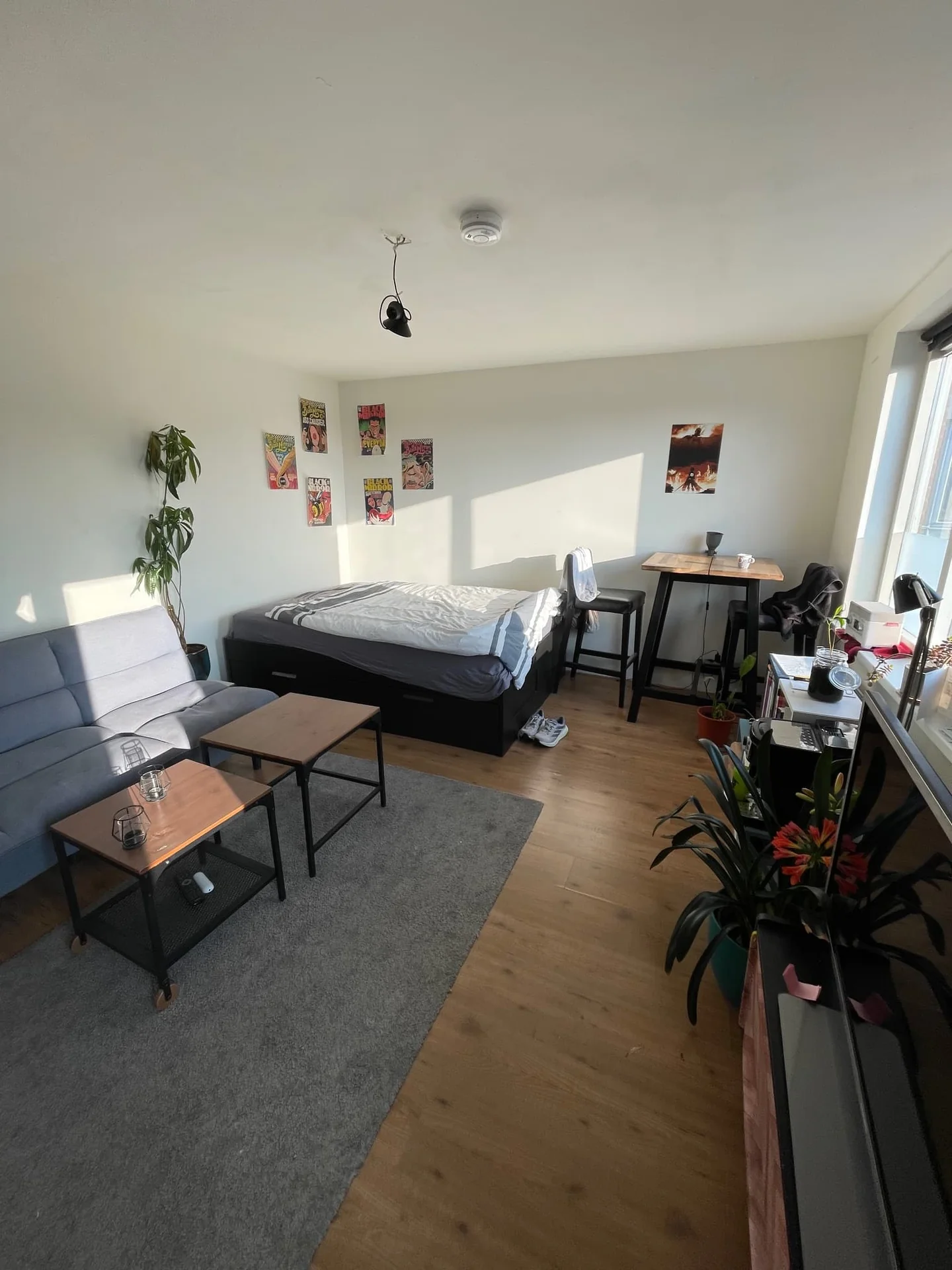 Foto van de Kamer gelegen aan de Madoerastraat in Groningen