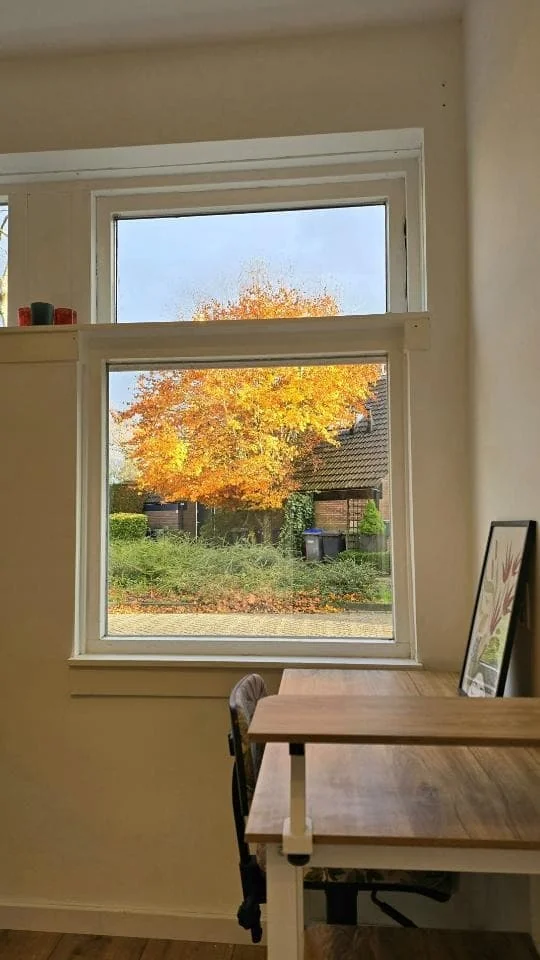geblurde versie van de foto als achtergrond