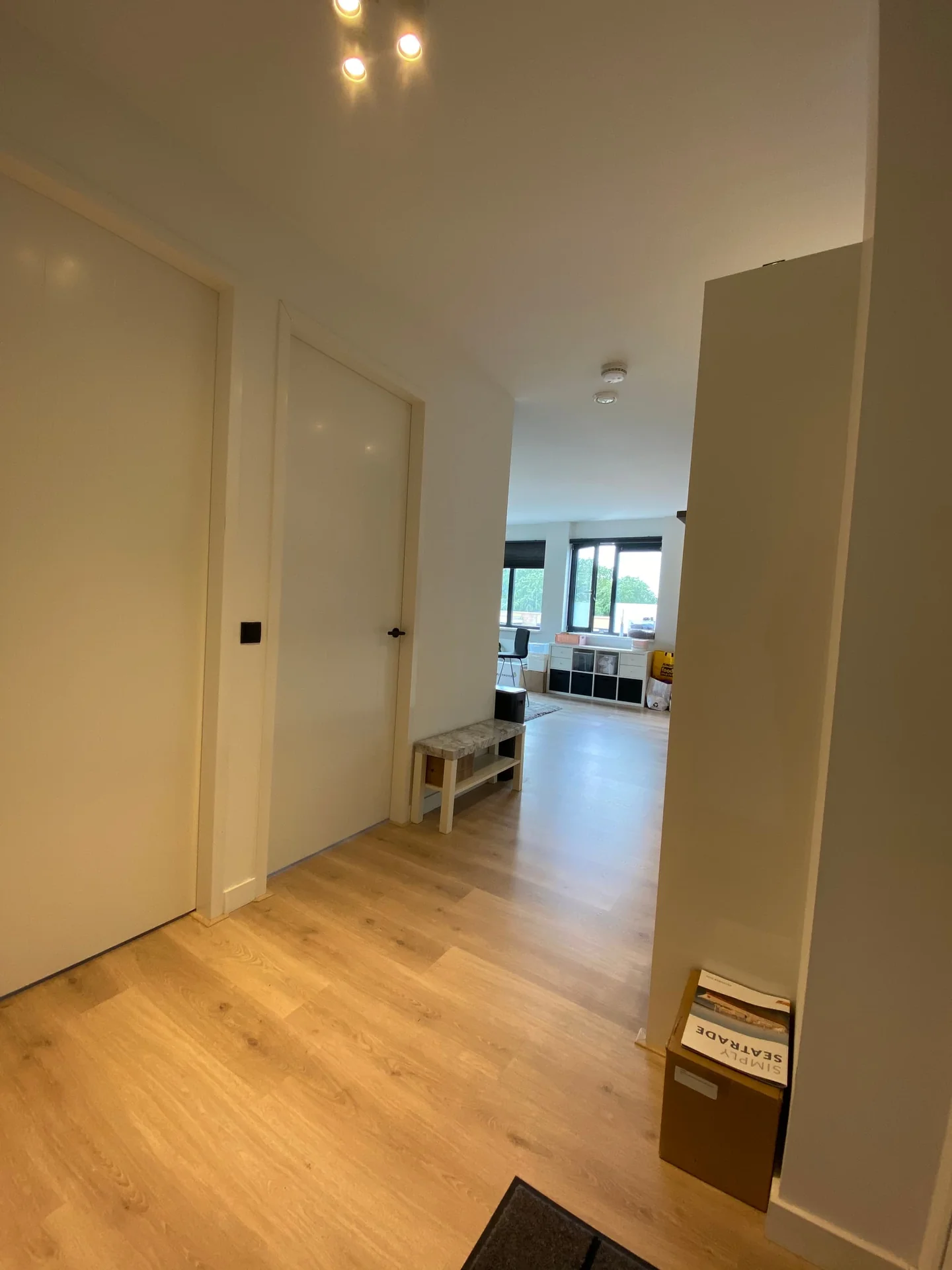 geblurde versie van de foto als achtergrond