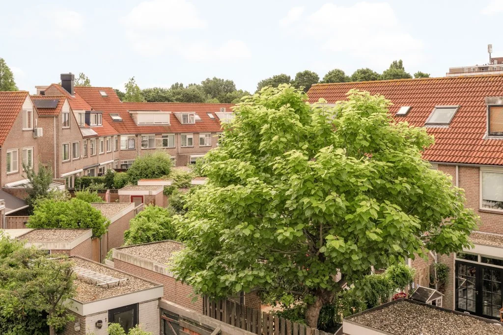 geblurde versie van de foto als achtergrond