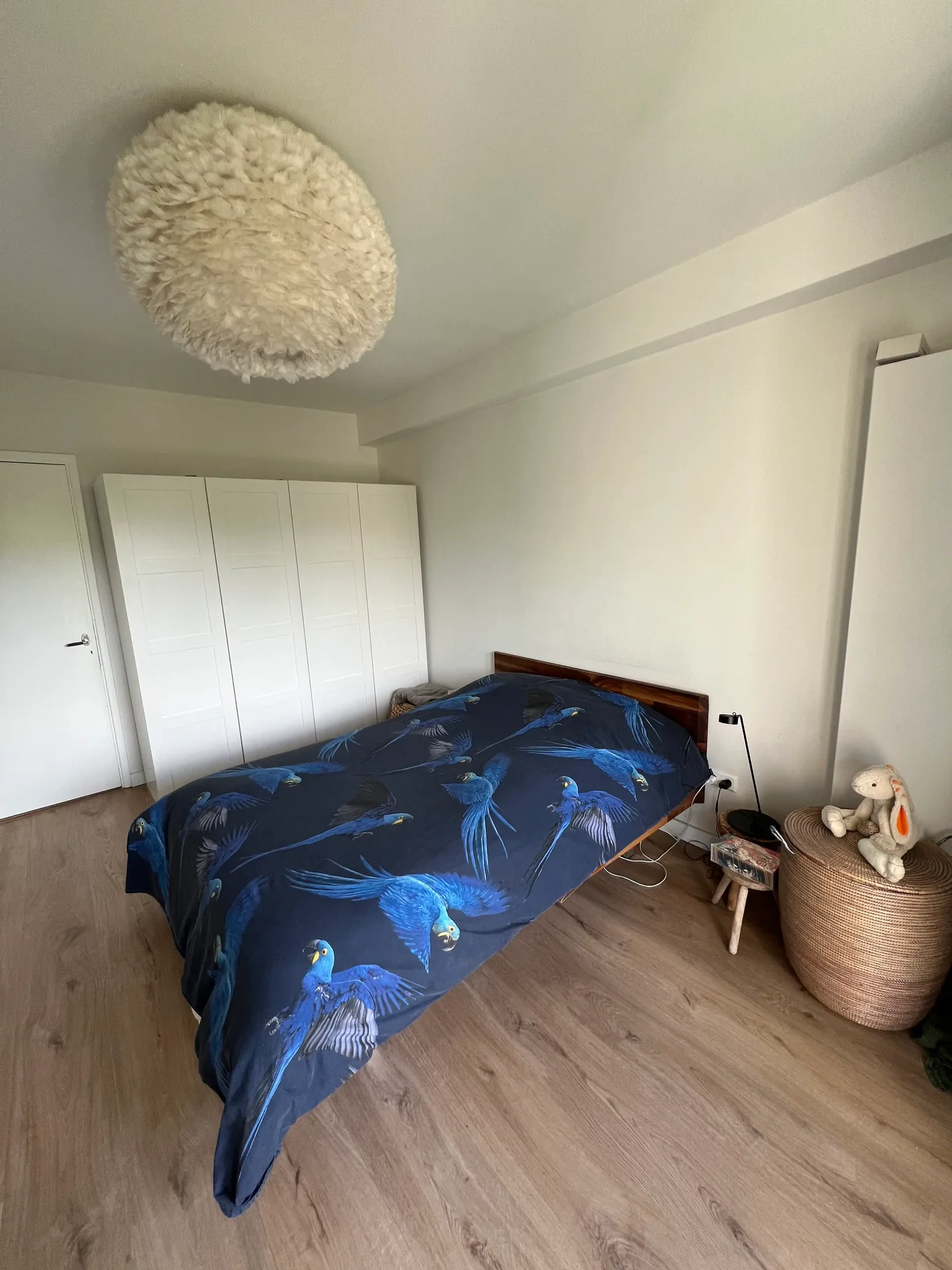 geblurde versie van de foto als achtergrond