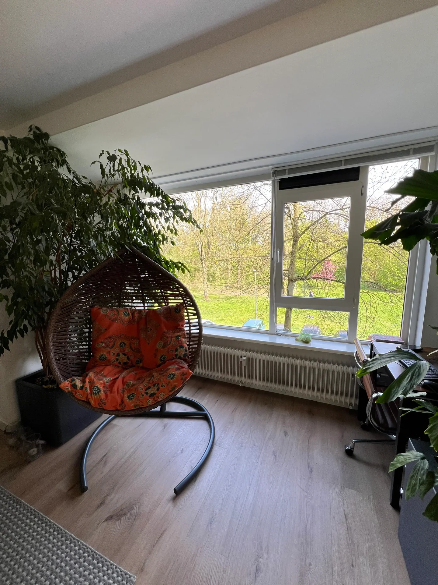 geblurde versie van de foto als achtergrond