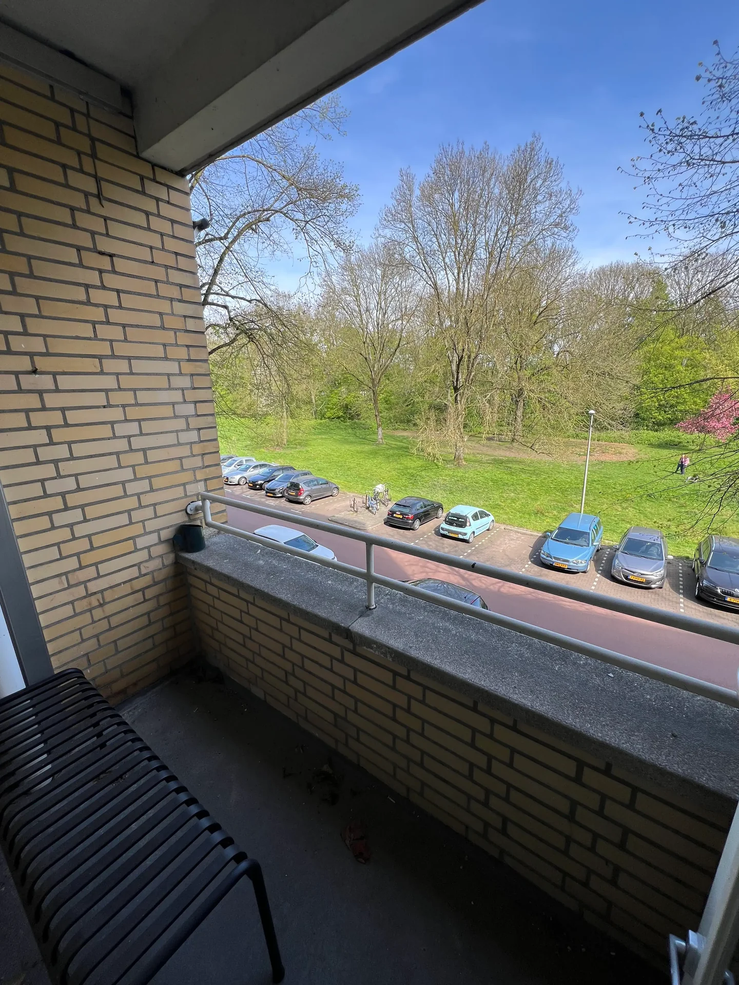 geblurde versie van de foto als achtergrond