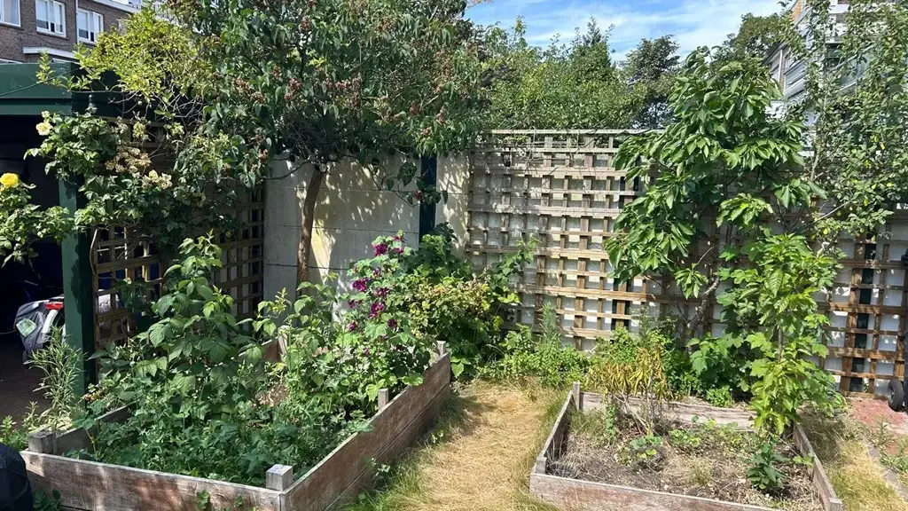 Foto van de Appartement gelegen aan de Lippe-Biesterfeldweg in Den Haag