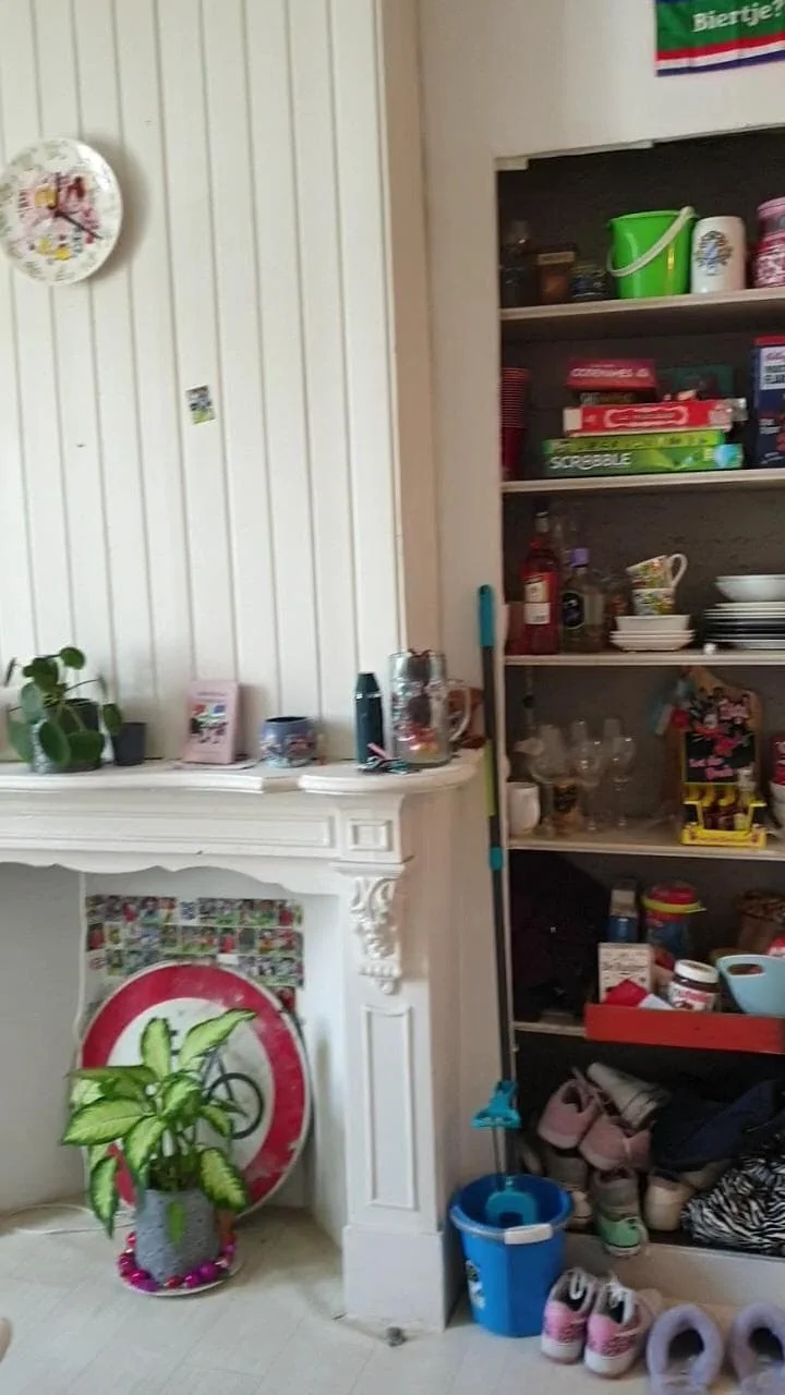 geblurde versie van de foto als achtergrond