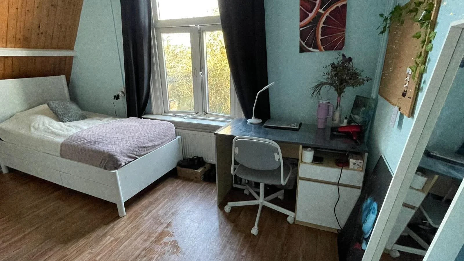 geblurde versie van de foto als achtergrond