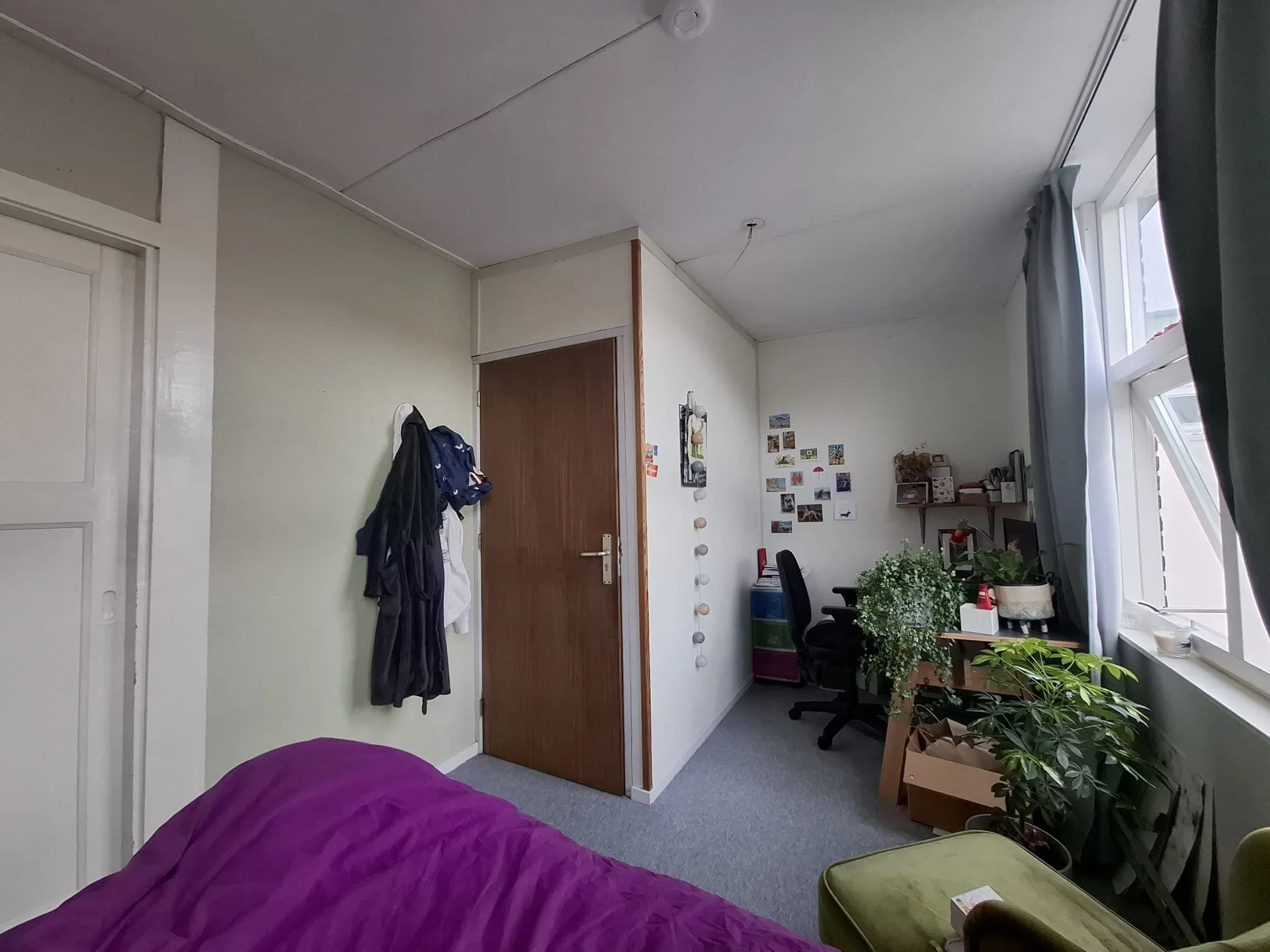 geblurde versie van de foto als achtergrond