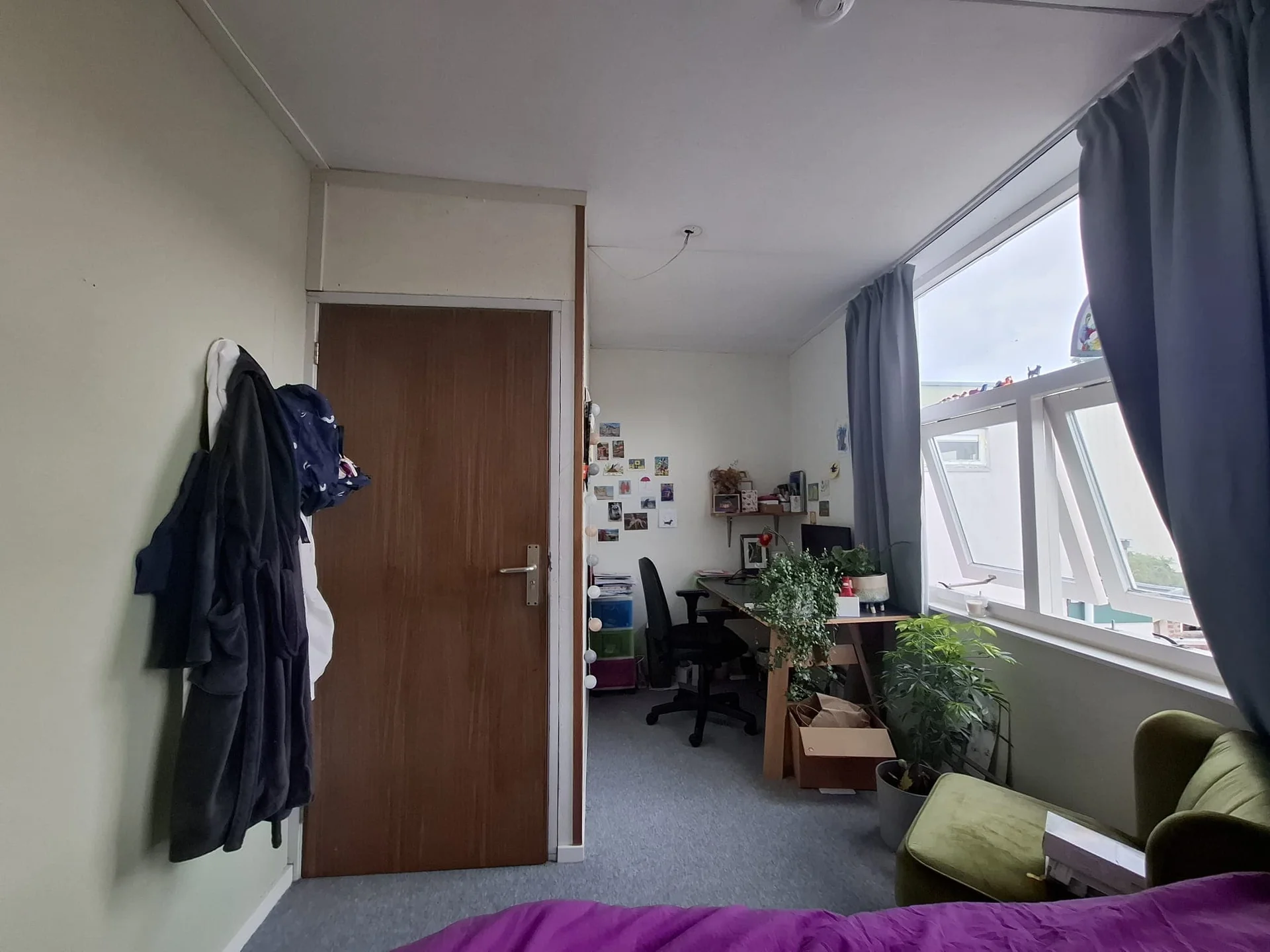 geblurde versie van de foto als achtergrond