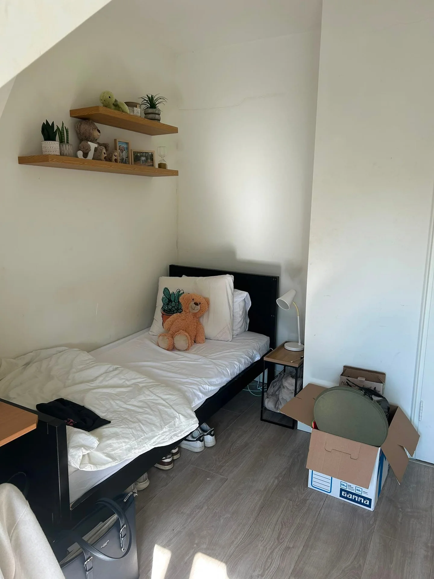 Foto van de Kamer gelegen aan de Wassenaarseweg in Den Haag
