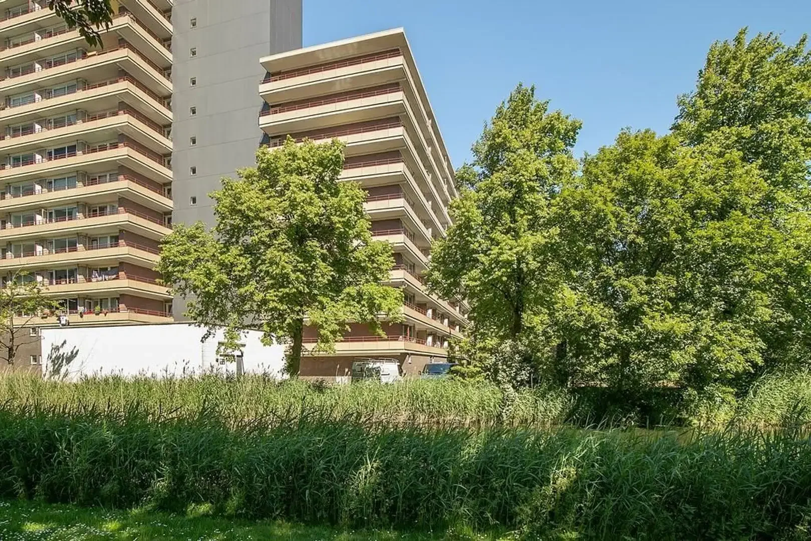 geblurde versie van de foto als achtergrond