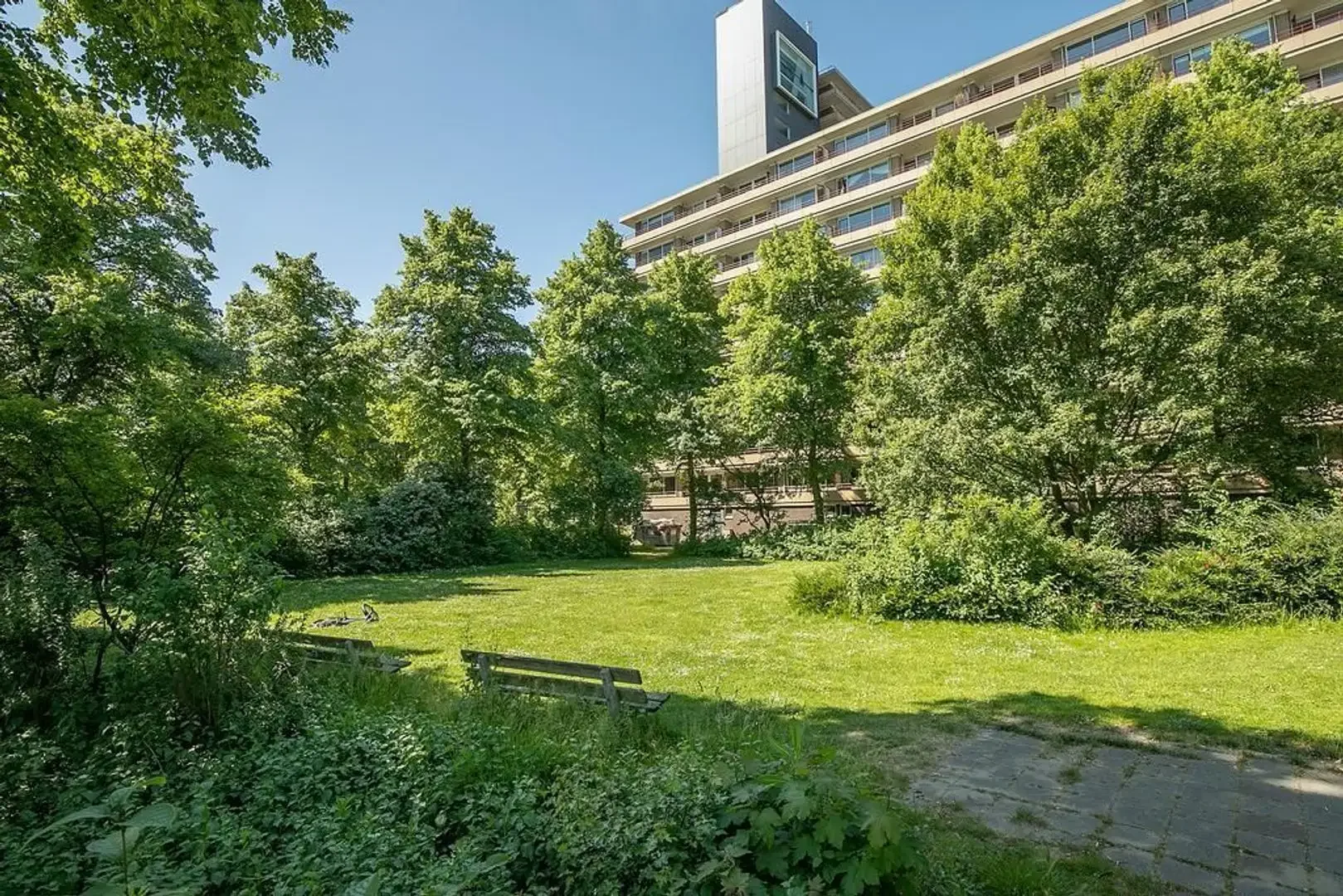 geblurde versie van de foto als achtergrond