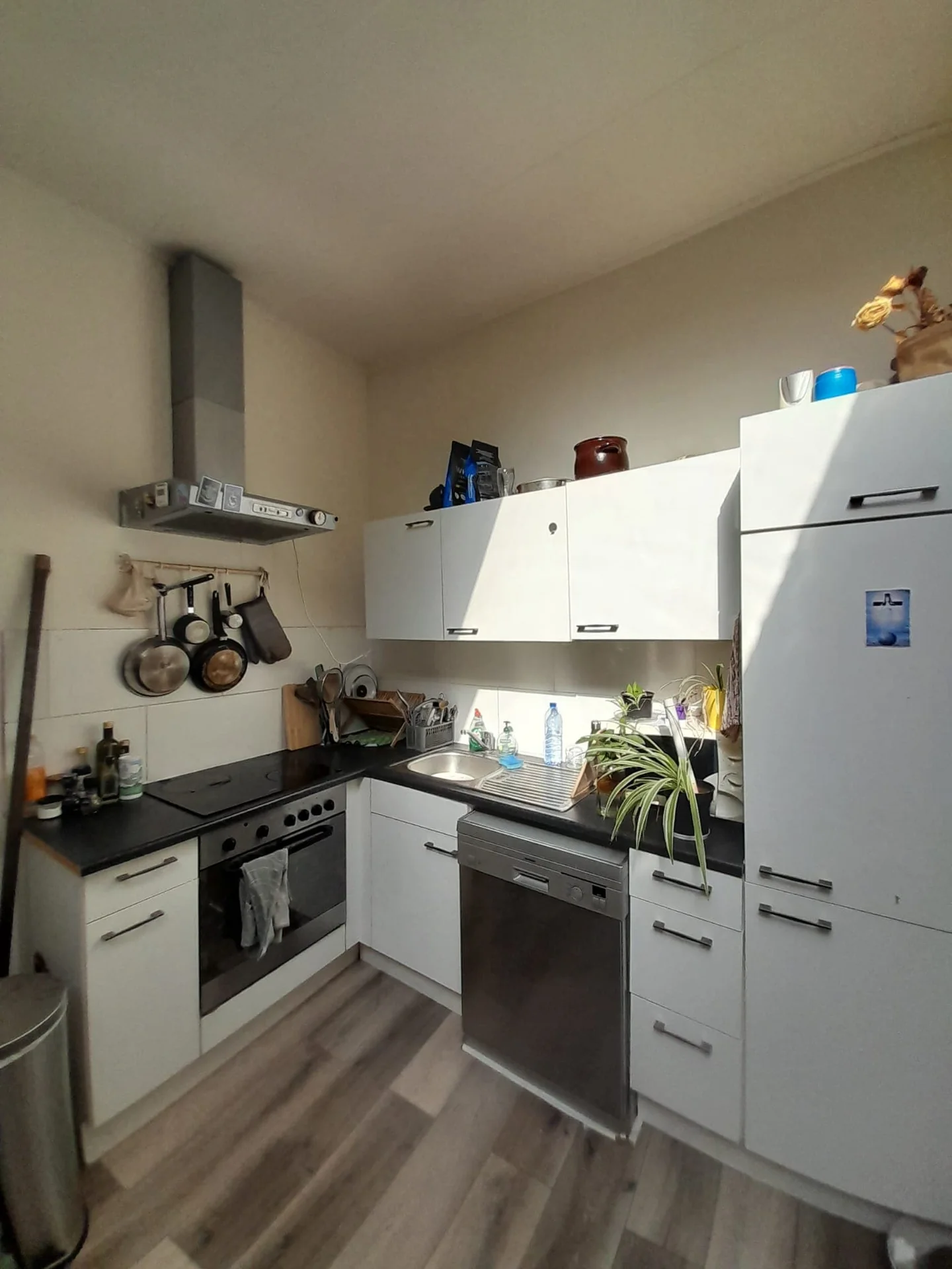 geblurde versie van de foto als achtergrond