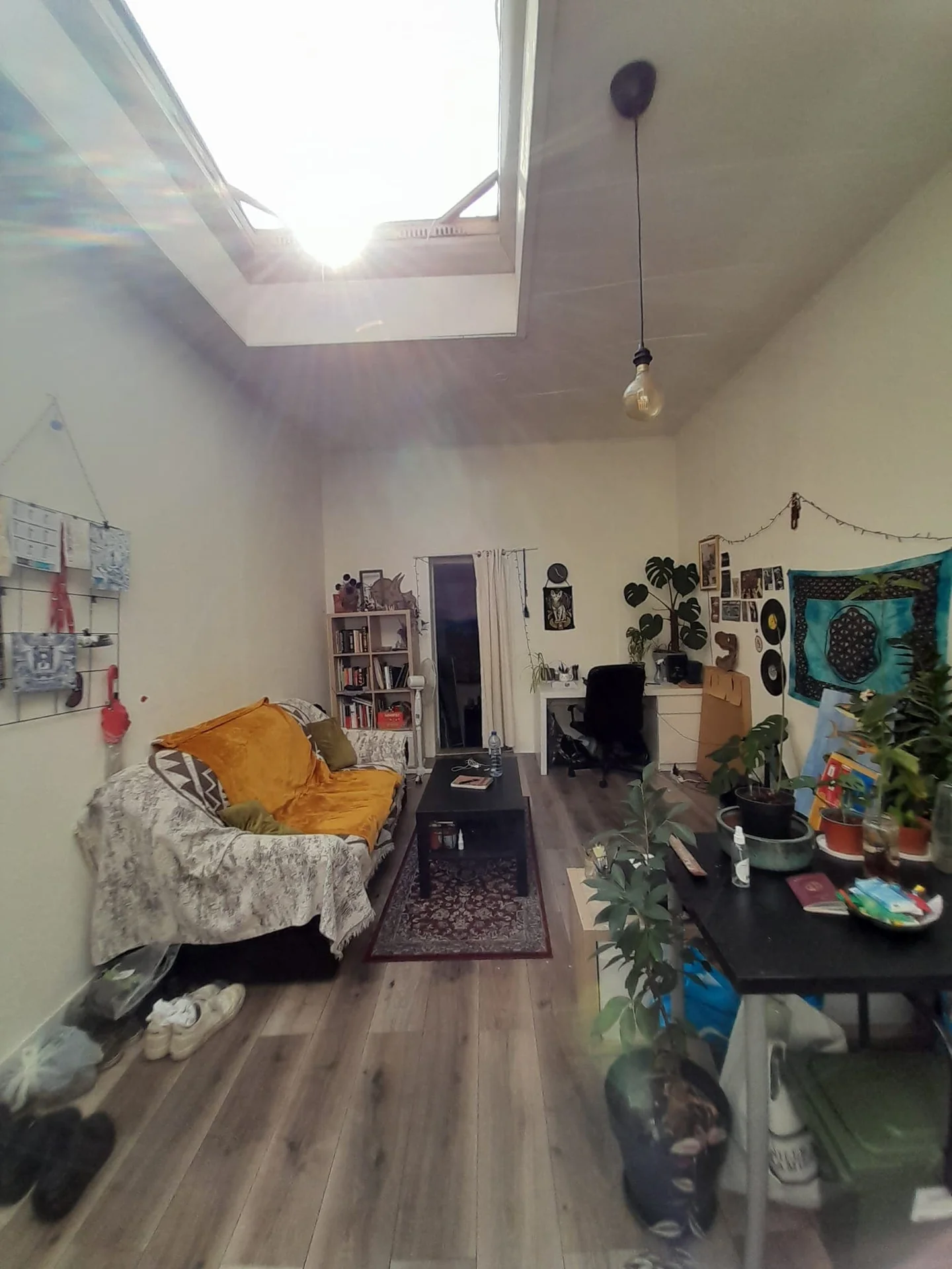 geblurde versie van de foto als achtergrond