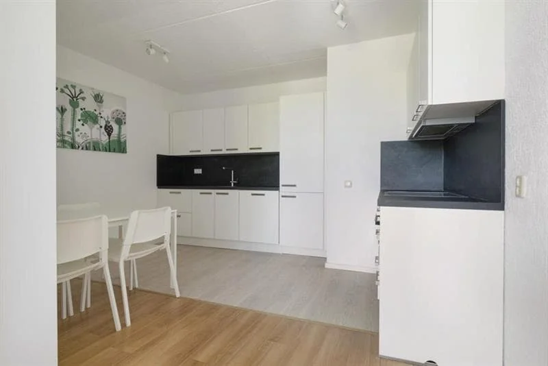 Foto van de Appartement gelegen aan de Meeuwenlaan in Amsterdam