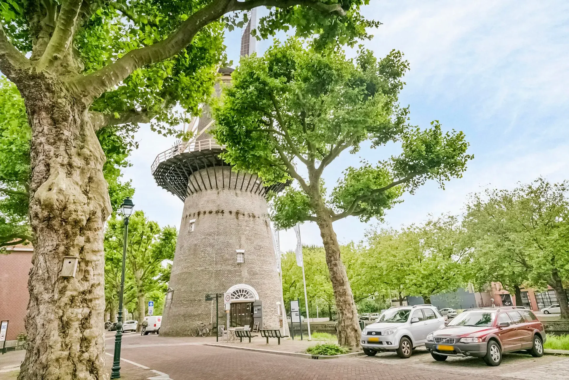 geblurde versie van de foto als achtergrond