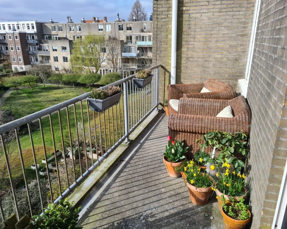 geblurde versie van de foto als achtergrond