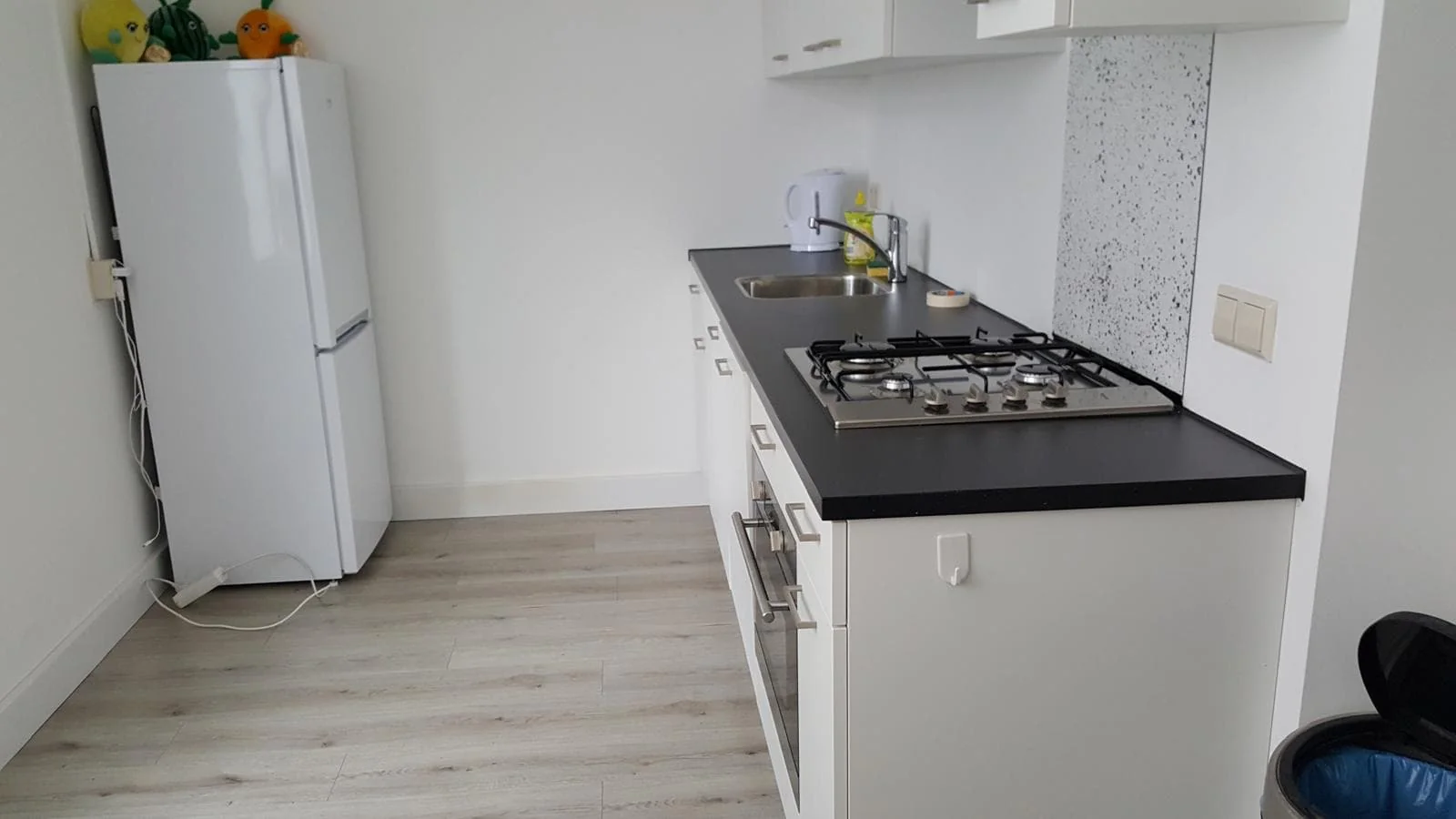 Foto van de Kamer gelegen aan de Brasserskade in Delft